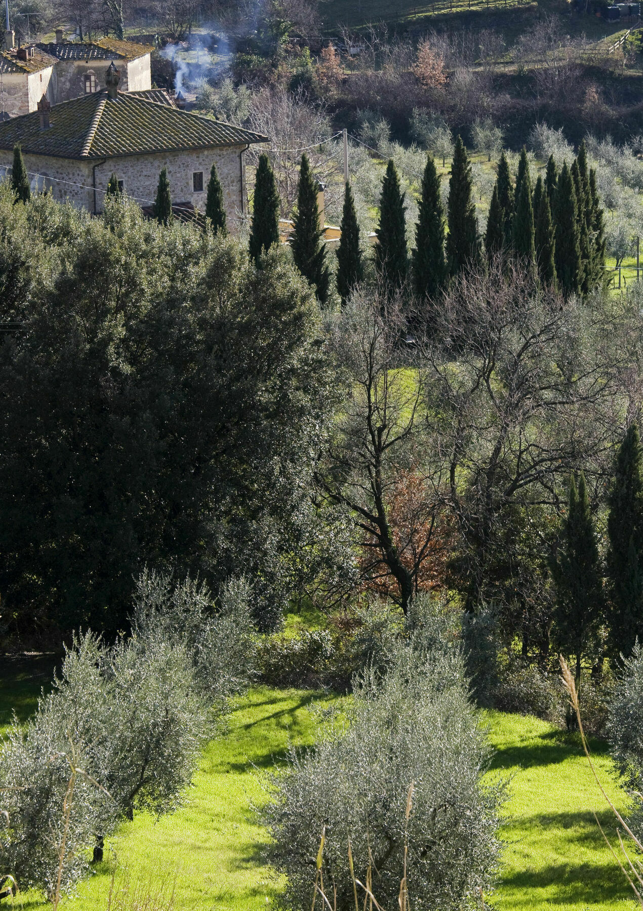 Giorgia Hotel